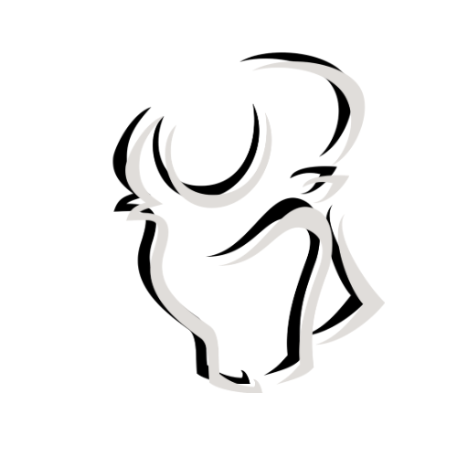 Stylish Taurus bull signUnisex Graphic Tee,Zodiac t shirt, Perfect for Casual Outings,Astrology Gifts for Friends, Birthday Celebration, Everyday Wear